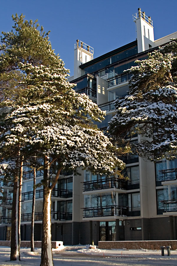 Pines at Merikannontie