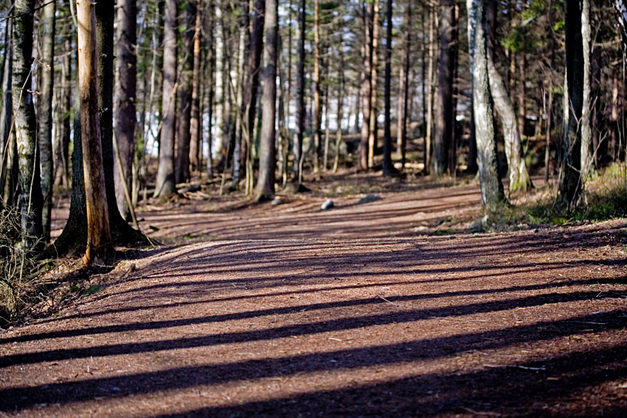 Uutela nature trail