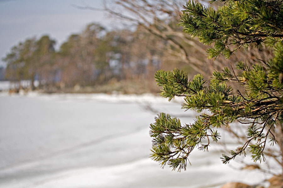 Shoreline at Nuottaniemi