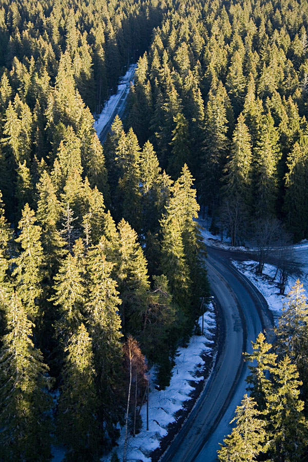 The road to Puijo hill seen from the tower