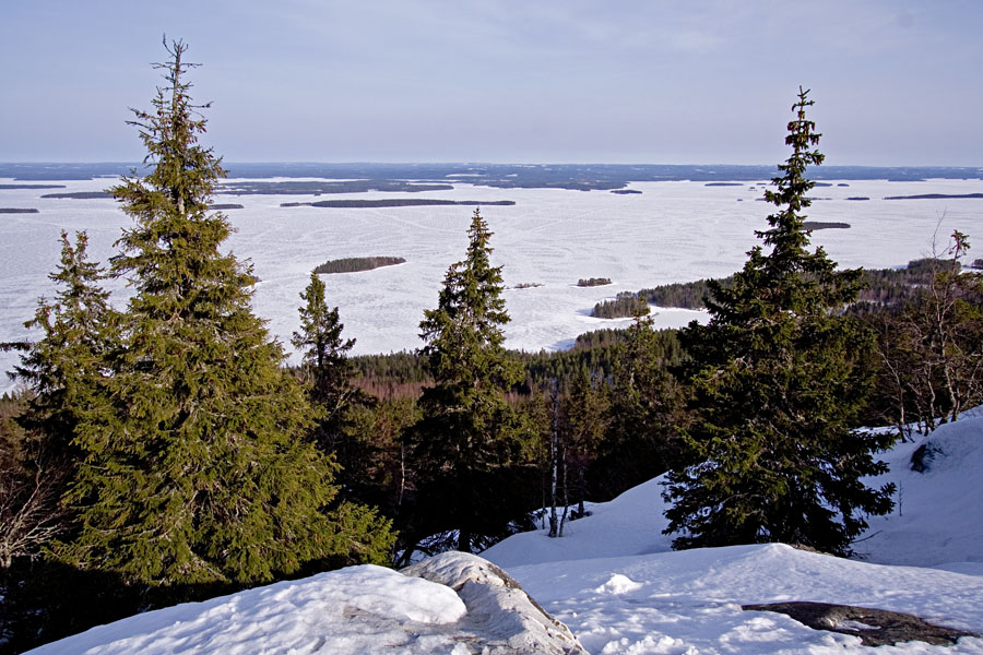 Finnish national scenery: lake Pielinen seen from Koli