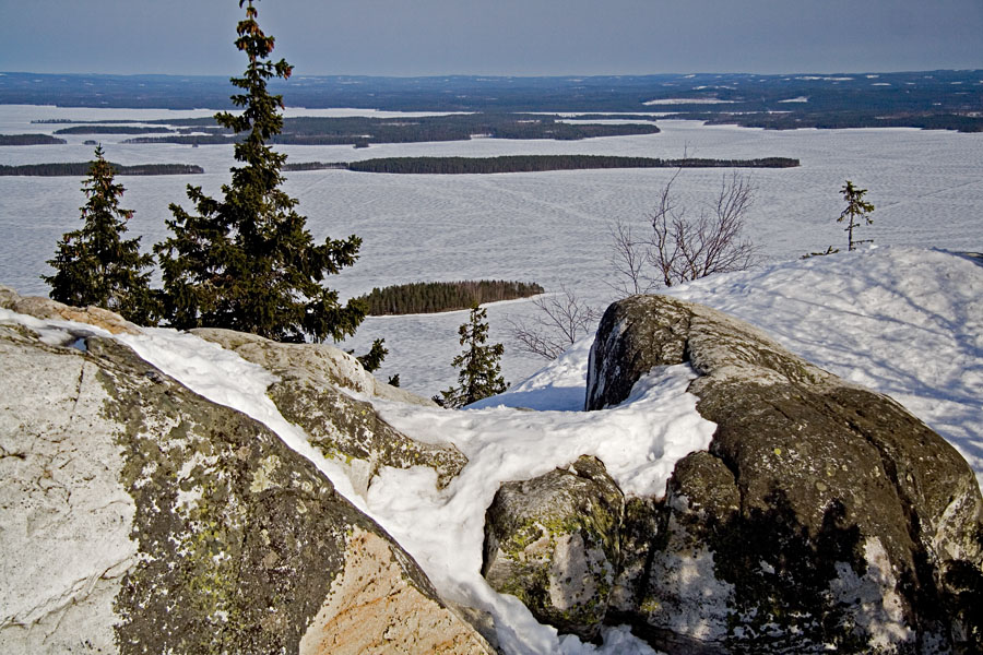 Quartzite rock at the peak of Ukko-Koli