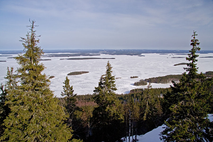 A Finnish national scenery: lake Pielinen seen from Ukko-Koli