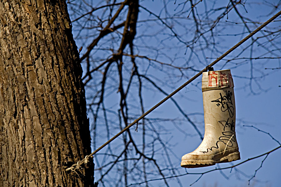 A rubber boot hanging from a tree support cable