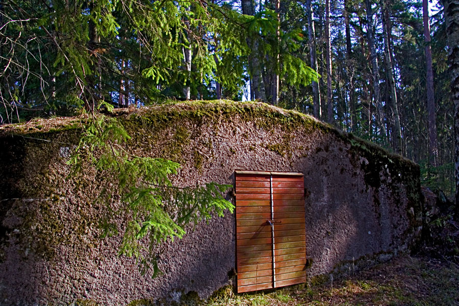 Entrance to a cellar