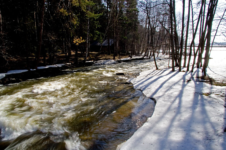 Langinkoski rapids at spring