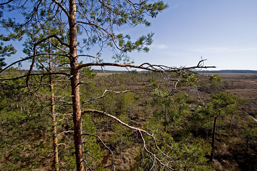 Scenery from the outlook tower at the nature path in Valkmusa national park