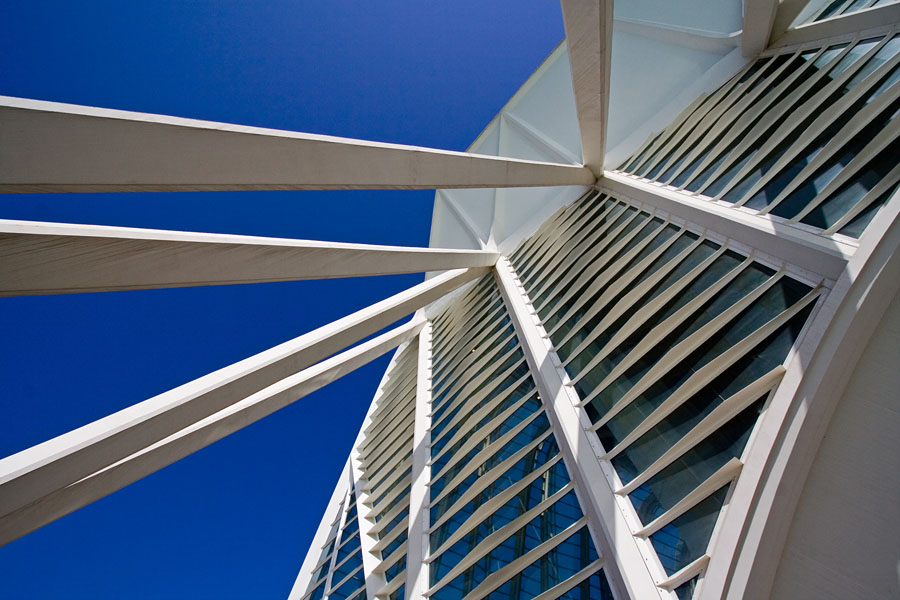 Architecture at the Valencia science museum