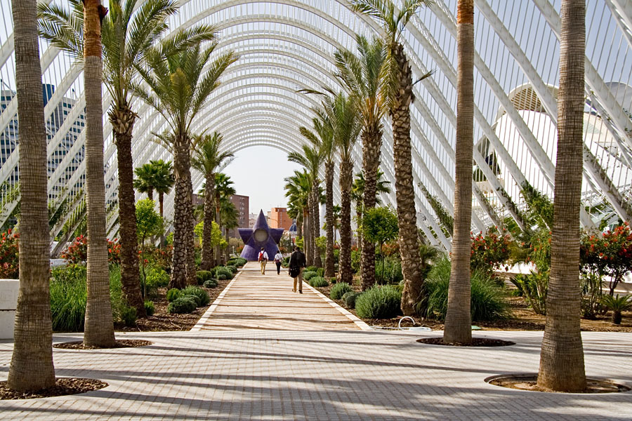Palm trees at the garden of the art and science center