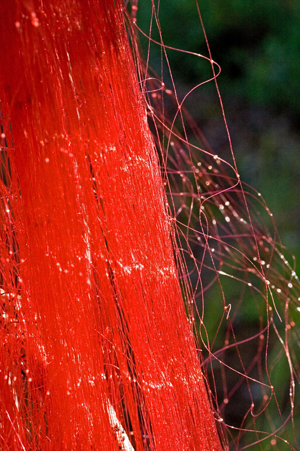 Fishing net