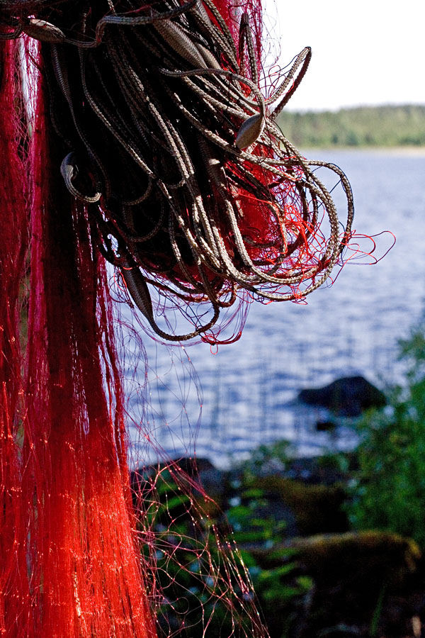 Kalaverkkoa