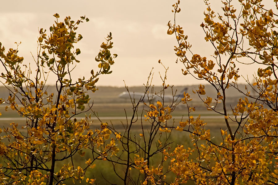 A landing by fall