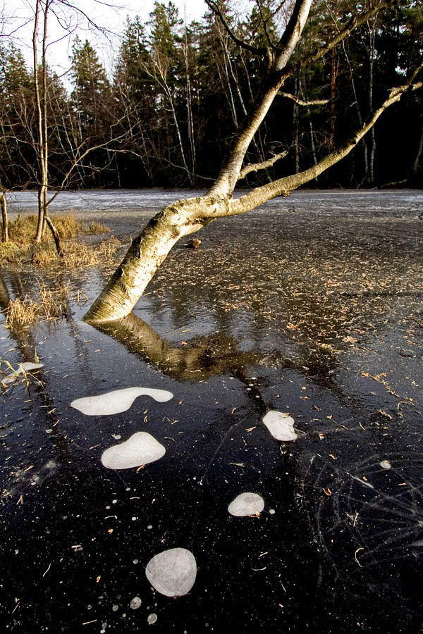 The icy Kruunuvuorenlampi pond