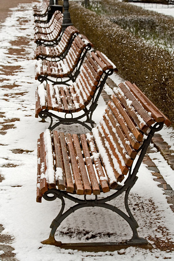 Snowy benches at Esplanadi park