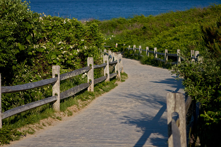 A path leading to the beach