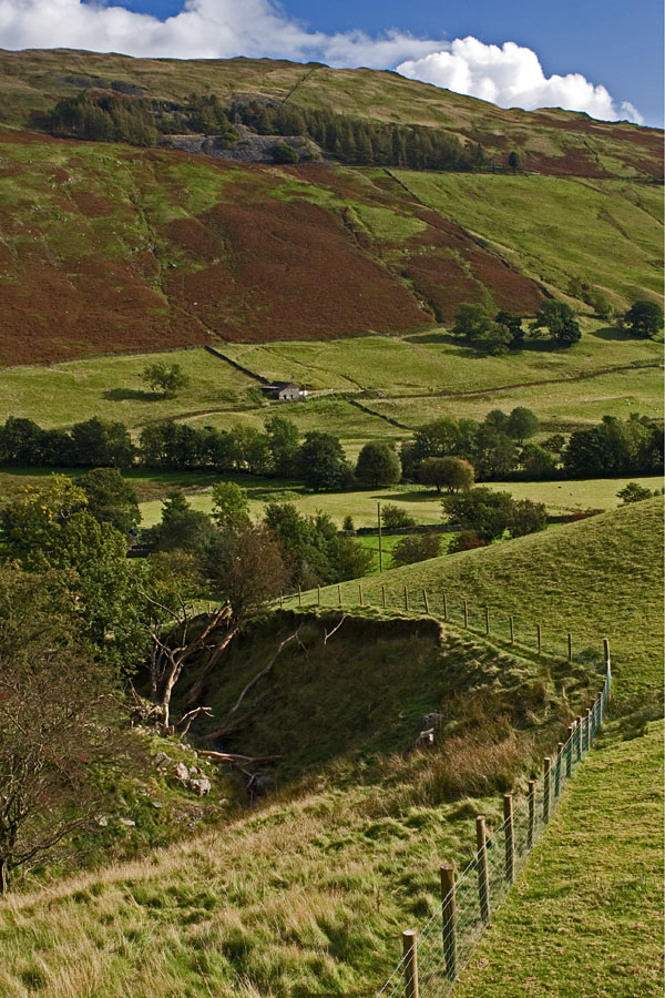 A green valley at Lake District