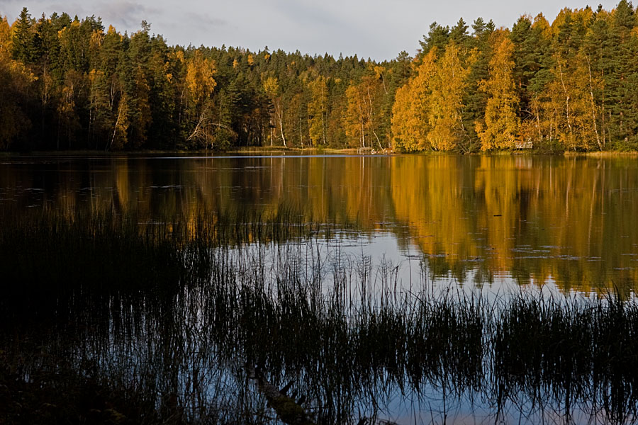 Haukkalampi at Nuuksio national park