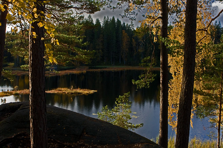 Mustalampi in Nuuksio national park