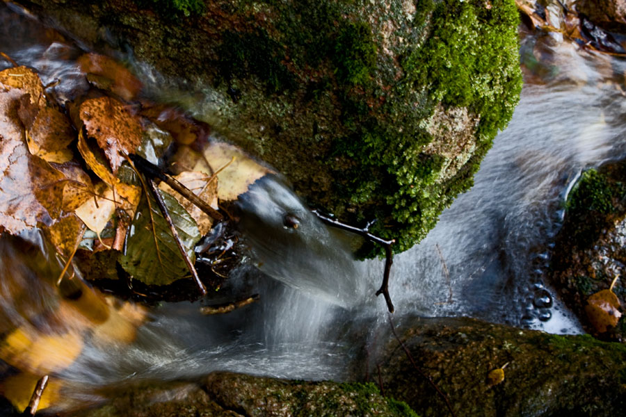 A creek in autumn