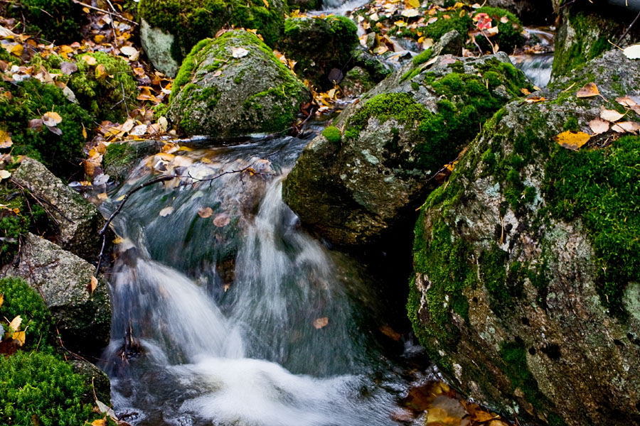A creek in autumn