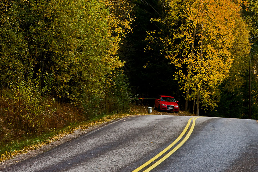Fall colors