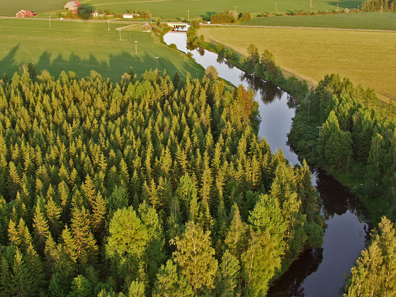 Mntslnjoki river flows through forests and fields
