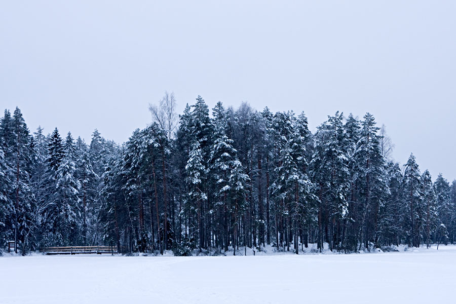 Holma-Saarijrven saari