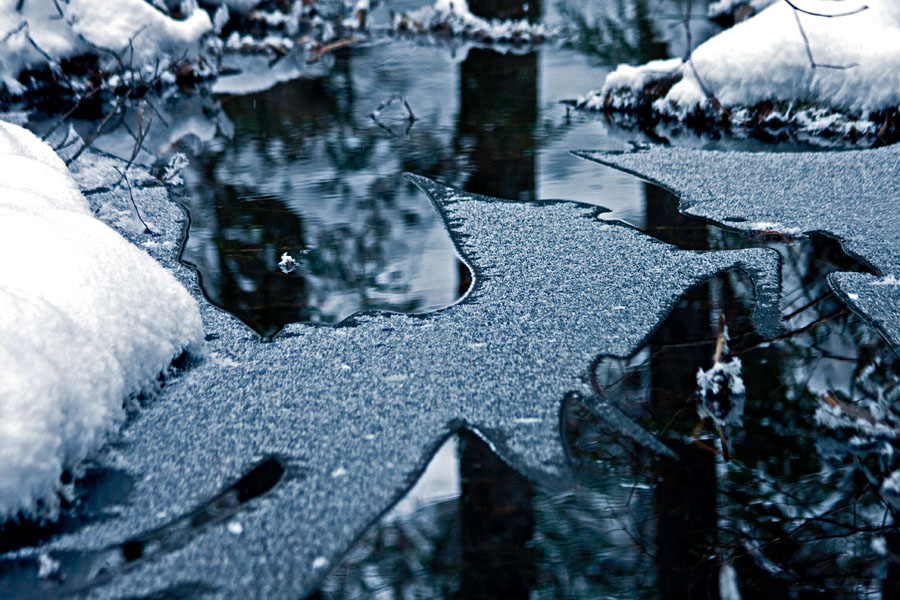 An icy creek
