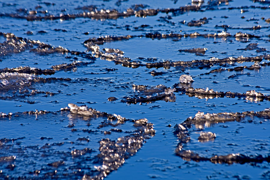 The icy sea