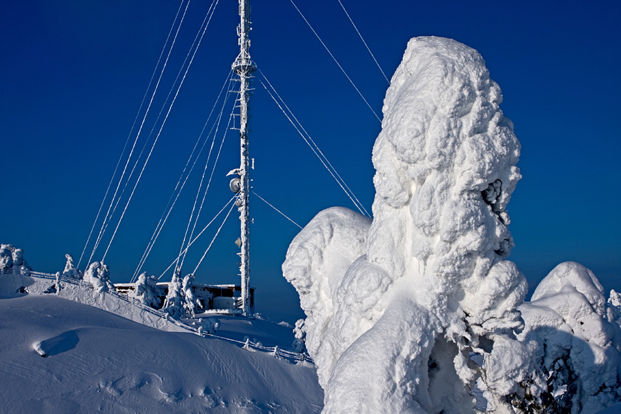 Packed snow on a tree next to a TV mast