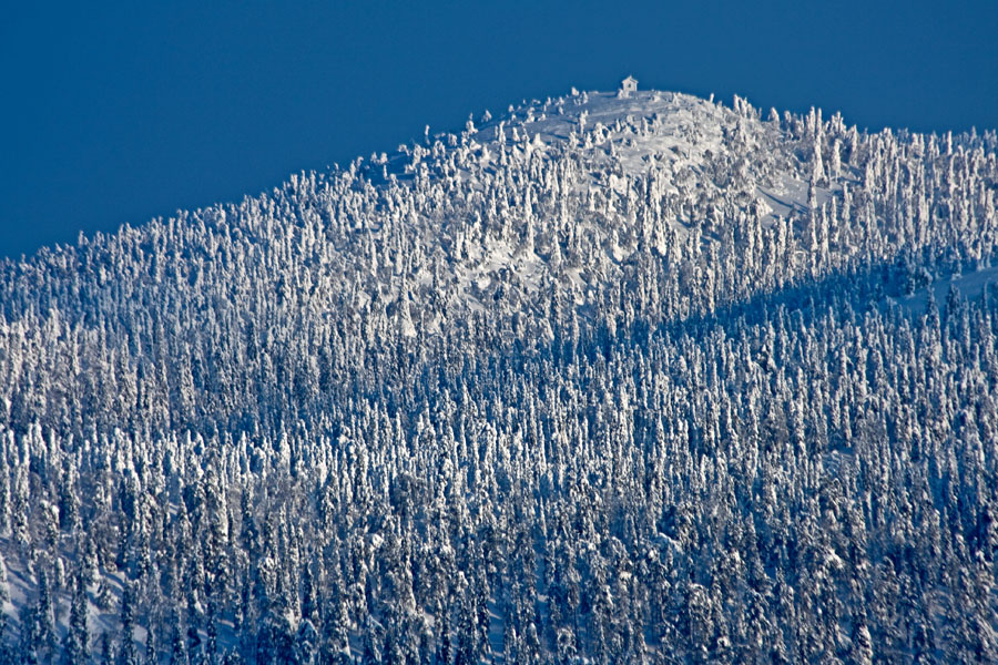 The snowy Valtavaara