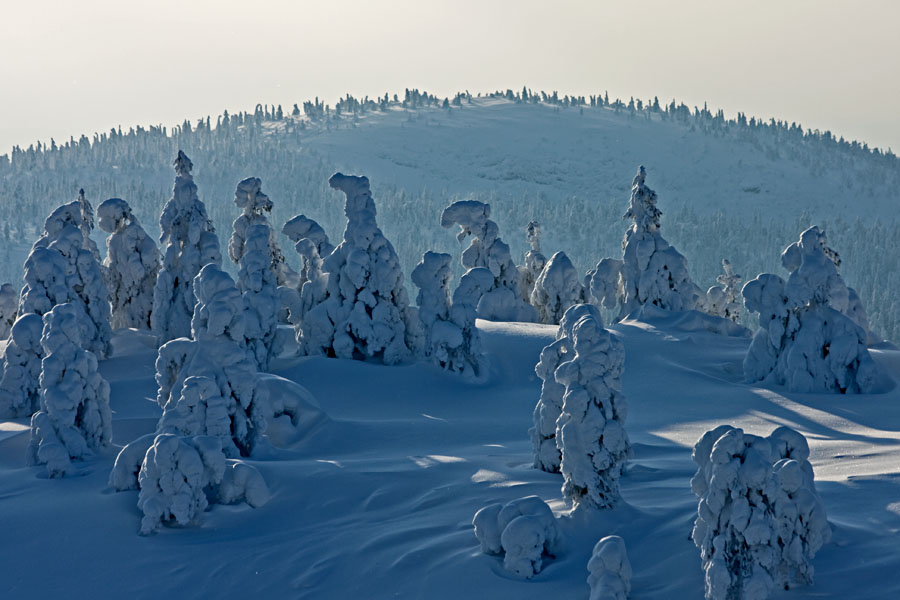 Snowy hills