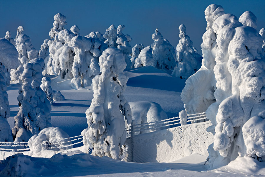A snowy fence