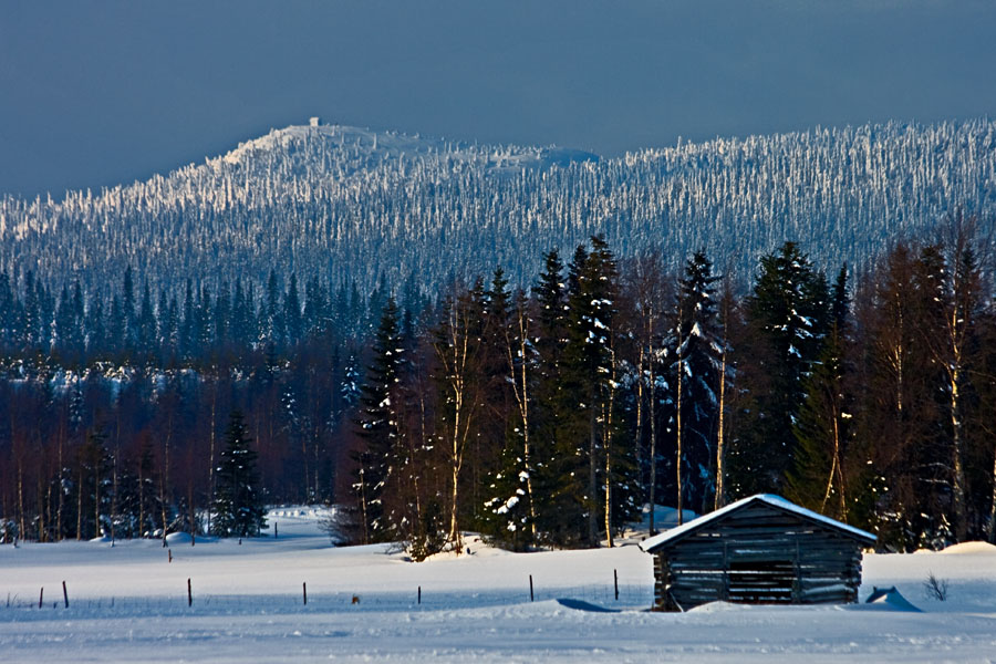 A barn