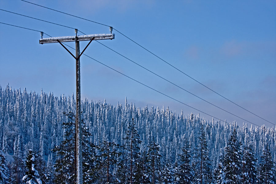 A telephone pole