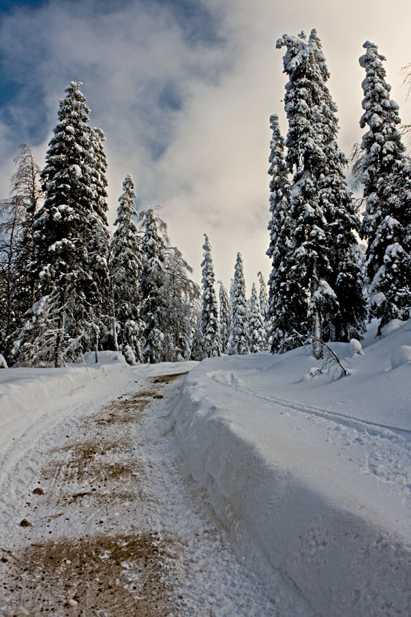 A snowy road at Kumpuvaara