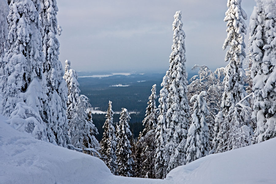 A view from Kumpuvaara