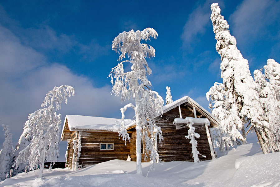 Hirsirakennus Kumpuvaaran laella