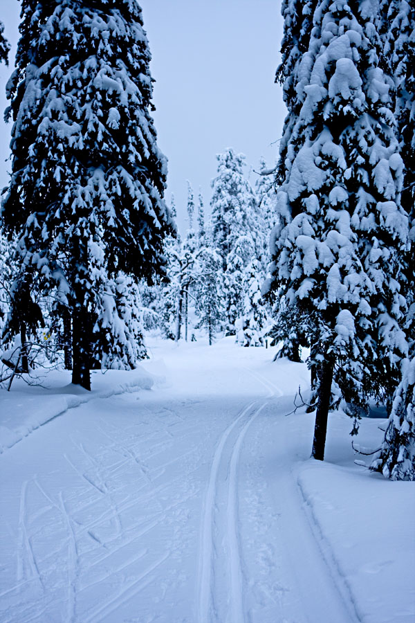 A ski track at Valtavaara