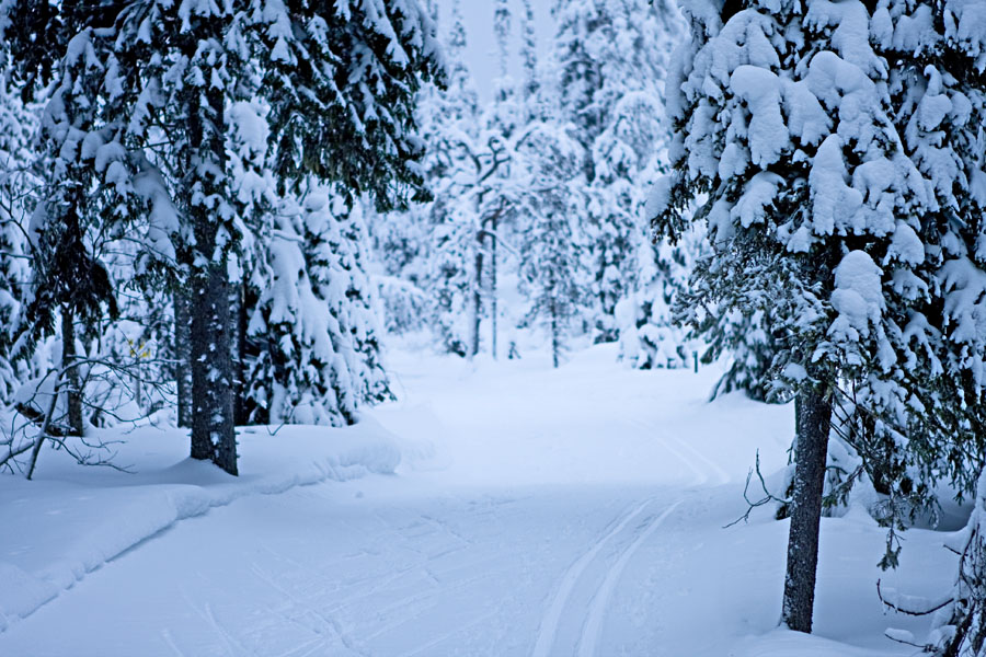 A ski track at Valtavaara