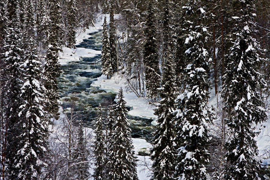 Kitkajoen Aallokkokoski Oulangan kansallispuistossa Kuusamossa