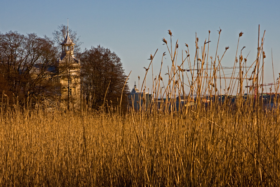 Villa Kivi at Linnunlaulu, rushes of the northern end of Tlnlahti bay in the foreground