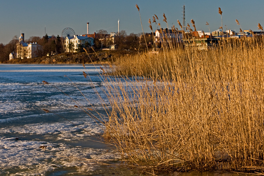 Rushes at the southern end of Tlnlahti bay, Linnunlaulu district villas in the background