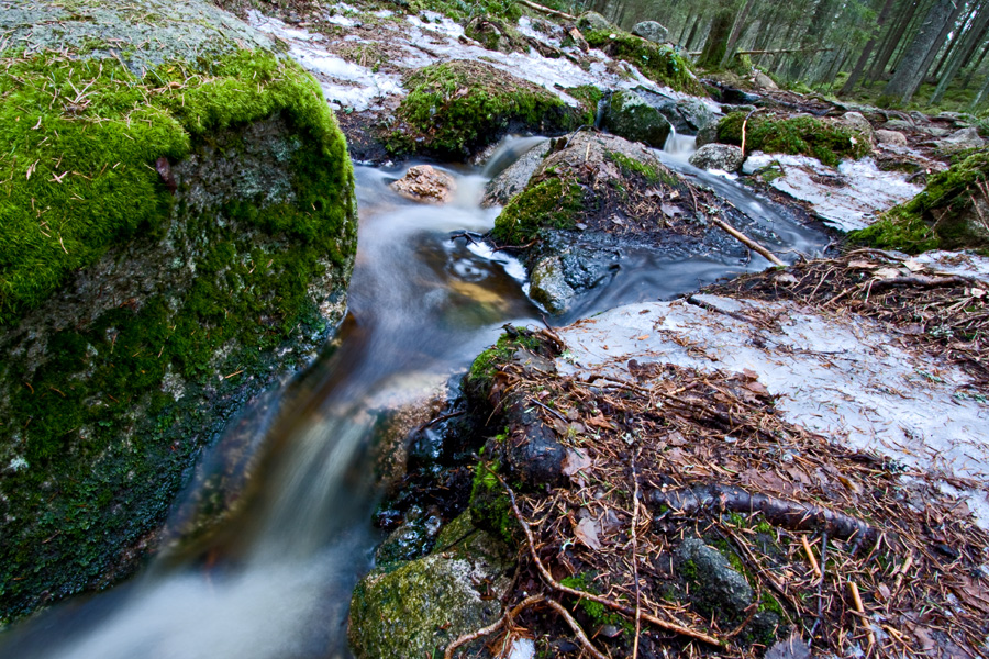 A creek in spring