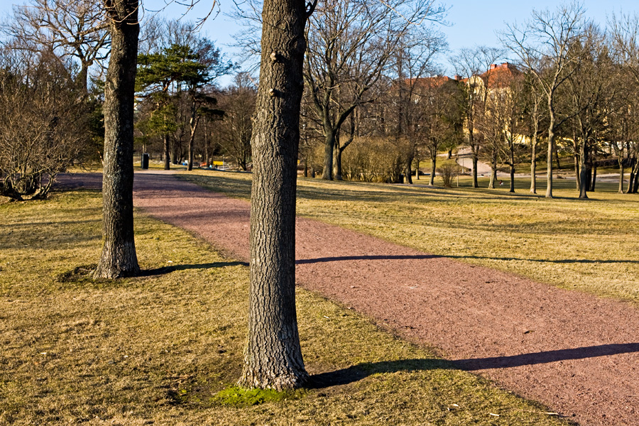 Kaivopuisto park