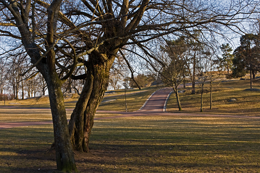 Kaivopuisto park