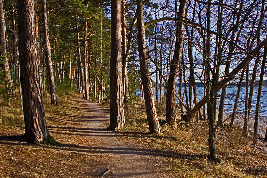 Harjumaisemaa Kallahdenniemell