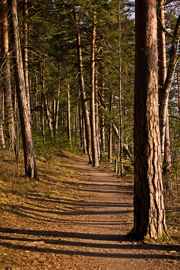 Esker scenery at Kallahdenniemi