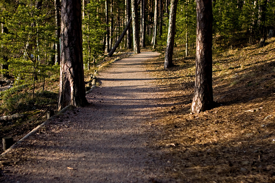 Esker scenery at Kallahdenniemi