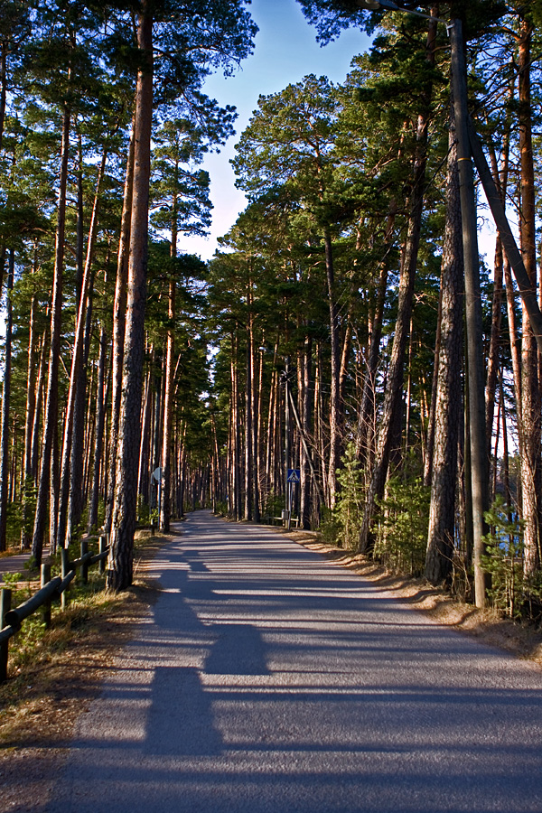 Harjumaisemaa Kallahdenniemell